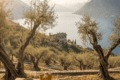 Une oliveraie du lac de Garde où sont exposées des bouteilles d'huile d'olive extra vierge et des olives fraîches